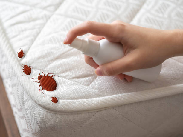Best Bed Bug Extermination  in Houston, PA