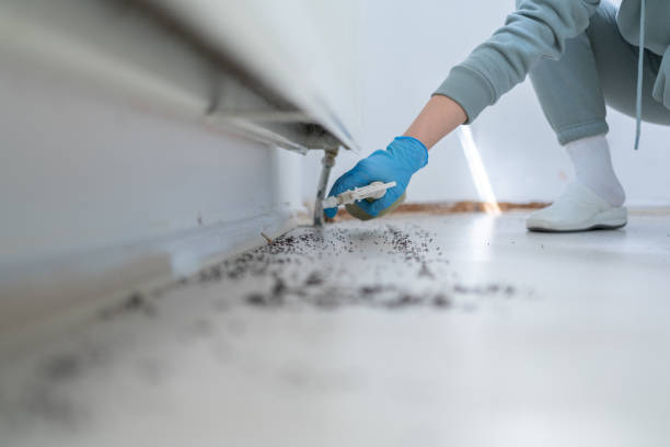 Best Pest Control Near Me  in Houston, PA